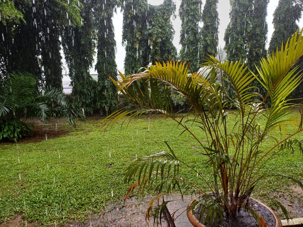 Kinshasa accueille les premières gouttes de pluie : les Kinois inquiètent face à l’État critique des Infrastructures